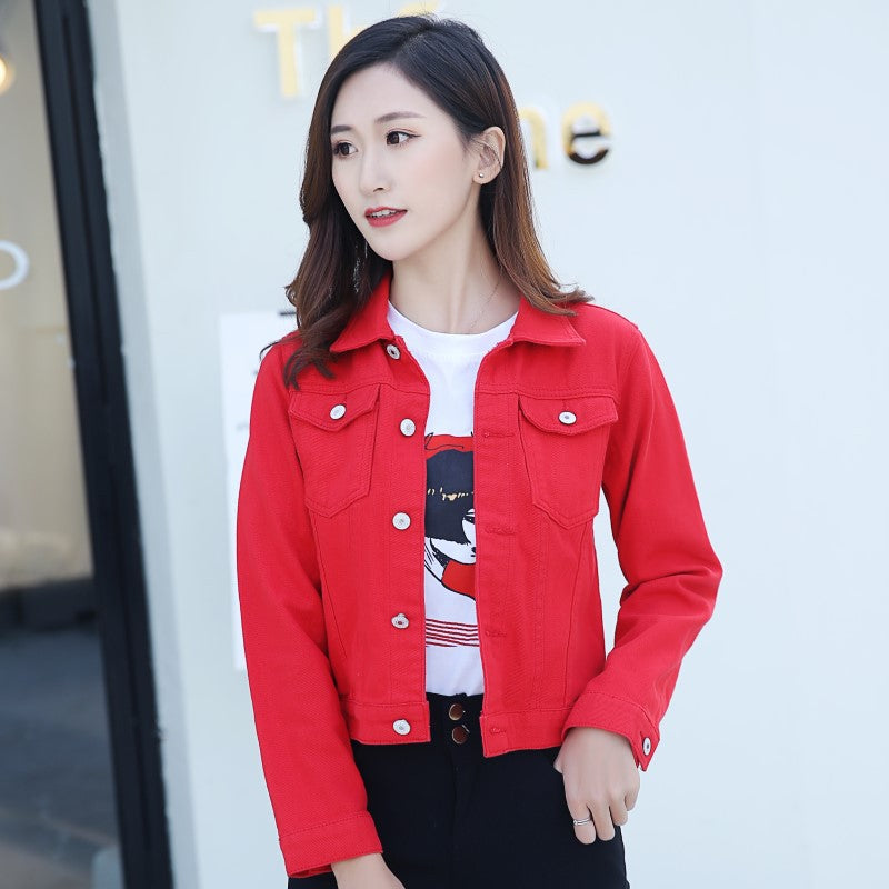 Jacket in Denim Fabric